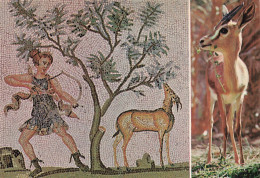 TUNISIE - Mosaïque Bardo - Gazelle - Sahara - Mosaïque Romaine - Musée - Chasseur - Animal - Carte Postale Ancienne - Túnez