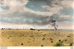 Delcampe - ALGÉRIE  OUARGLA  Sonde Et Camion De La C.F.P Près De Maison Verte - Ouargla