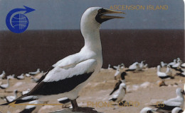 Ascension Islands - C&W GPT 1CASB - Ascension