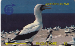 Ascension Islands - C&W GPT 2CASA - Ascension