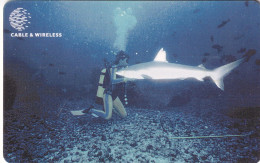Ascension Islands - C&W Diver With Shark 00017601 (1st Print) - Ascension