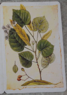 Delcampe - Petit Calendrier Poche 2007 Illustration Arbre Tilleul St Jean 3 Volets - Kleinformat : 2001-...