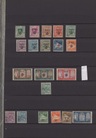 Delcampe - Algeria: 1924/1957: Mint Collection From First Issue Including Several Better Se - Nuovi