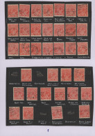 Delcampe - Australia: 1924/1926 Specialized Collection Of More Than 300 Stamps KGV. 1½d. Sc - Collezioni