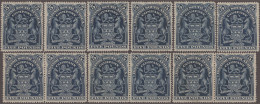Delcampe - British South Africa Company: 1901, £5 Deep Blue, Twelve Stamps (incl. Three Pai - Altri
