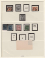 Delcampe - Canada: 1855/2000 (ca.), Comprehensive Mint And Used Collection In Five Lindner - Collezioni