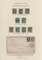 Delcampe - Canada: 1870/1897, Small Heads, Chiefly Used Collection Of Apprx. 160 Stamps And - Collezioni
