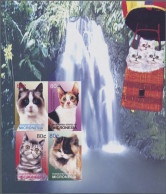 Delcampe - Micronesia: 2000/2004, MNH IMPERFORATE COLLECTION, Collection Of 80 Stamps And T - Micronesia