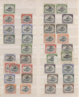 Delcampe - Papua: 1901/1941, Mainly Mint Collection On Stockpages, Showing A Lovely Selecti - Papua Nuova Guinea