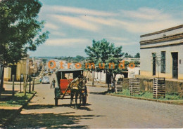 Delcampe - POSTCARD HORSE CARRIAGE POSTAL A.G.M. CALLE MARISCAL ESTIGARRIBIA ENCARNACION PARAGUAY - Paraguay