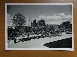 Congo / Elisabethstad, De Palmenallee Van Het Instituut Marie José (zusters Van Liefde Van Jezus En Maria, Gent) - Lubumbashi