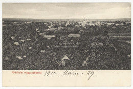 NAGYSZŐLLŐS 1910.  Régi Képeslap W.L. - Ukraine