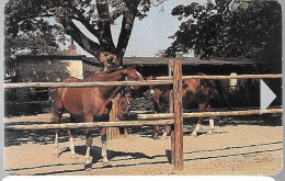 CARTE-Puce--1993-TCHECOSLOVAQUIE-HARAS CHEVAUX- Sans PUCE Ni Logement-Neuve-TBE - Czechoslovakia