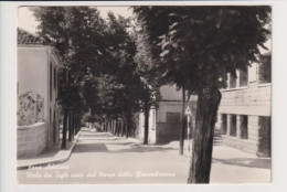 Delcampe - FANO ADRIANO  TERAMO VIALE DEI TIGLI VISTO DAL PARCO DELLA RIMEMBRANZA  VG - Teramo
