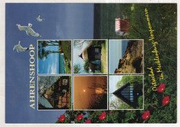 Delcampe - AK 244561 GERMANY - Ahrenshoop - Fischland/Darss