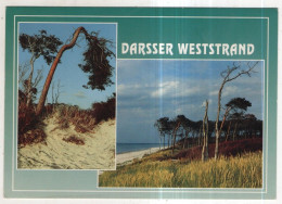Delcampe - AK 244603 GERMANY - Darsser Weststrand - Fischland/Darss