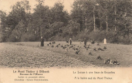 BELGIQUE - Dilbeek - Le Mont Thabor - Berceau De L Œuvre - à La Lisière Sud - Oblit 1930 - Carte Postale Ancienne - Dilbeek