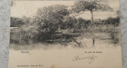 Delcampe - Genk - Genck // Un Coin De Marais 1901 - Genk