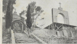 Delcampe - D 83 COTIGNAC. EGLISE. NOTRE DAME DE GRACES. - Cotignac