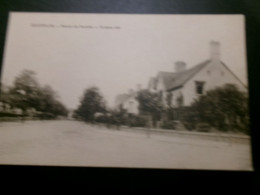 Delcampe - 23-12                   WINTERSLAG   Avenue Des Accacias   Accasias Laan - Genk