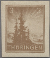 Sowjetische Zone - Thüringen: 1945, Tannen, 3 Rpf. Und 4 Rpf., Jeweils Breitrand - Other & Unclassified