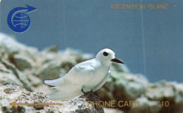 ASCENSION ISLAND - GPT - C&W - 1CASC - BIRD - FAIRY TERN - Ascension