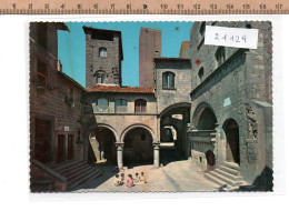 Delcampe - 21129  VITERBO QUARTIERE SAN PELLEGRINO - Viterbo