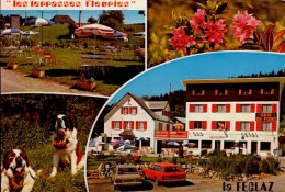 Delcampe - LA FECLAZ   ( SAVOIE )   HOTEL CENTRAL ET  " LES TERRASSES FLEURIES " _  MULTI-VUES - Joyeuse
