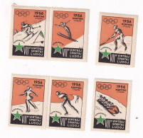 Winter Olympic Games 1956 Cortina D'Ampezzo Vignette Perforated And Glued Esperanto Vignetes, Ice Hockey, Ski Jumping... - Winter 1956: Cortina D'Ampezzo
