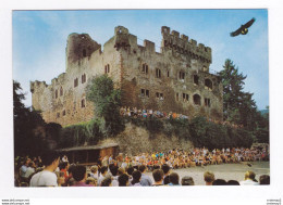 Delcampe - 67 Château De Kintzheim Vers Sélestat Alsace OISEAUX Volerie Des Aigles VOIR DOS - Selestat