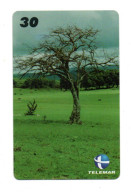 Arbre Tree Télécarte Brésil Phonecard (salon 703) - Flores