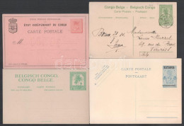 Delcampe - Belga-Kongó 20 Db Javarészt Használatlan Díjjegyes, Mind Különböző - Altri & Non Classificati