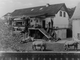 30066245 - Bergneustadt - Bergneustadt