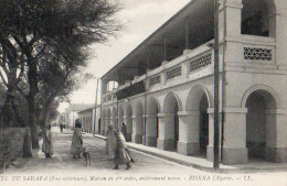 Delcampe - ALGERIE BISKRA JARDINS LANDON - Biskra