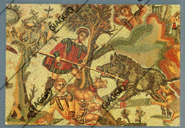 Delcampe - °°° Cartolina N. 1672 - Piazza Armerina Diaeta Della Grande Caccia Viaggiata °°° - Enna