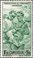 Cameroun Avion N** Yv:19/20 Protection De L'enfance Indigène - Aéreo