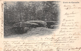95-SAINT MARTIN DU TERTRE FORET DE CARNELLE-N°T2974-D/0017 - Saint-Martin-du-Tertre