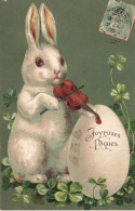 Delcampe - Joyeuses Pâques * CPA Illustrateur 1906 Gaufrée Embossed * Lapin Humanisé Joueur De Violon Violoniste * Rabbit Musique - Ostern