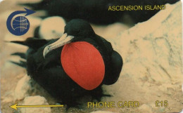 ASCENSION ISLAND - GPT - C&W - 2CASC - BIRD - ASCENSION FRIGATE BIRD - Ascension