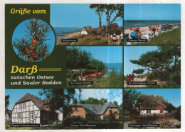 Delcampe - AK 245947 GERMANY - Darß - Fischland/Darss