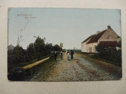 Delcampe - WATERLOO BELLE ALLIANCE 1912 - Waterloo