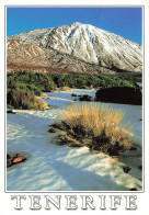 ESPAGNE - Tenerife - El Teide - Volcan - Montagne - Neige - Ephedra - Végétaion - Paysage - Roches - Carte Postale - Tenerife
