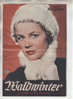 Delcampe - Illustr. Filmbühne IFB Nr. 3200- Waldwinter - Magazines