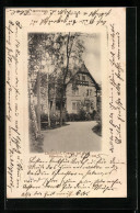 AK Coswig, Hotel Lindenhof - Coswig