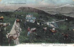 73 AIX LES BAINS AN#MK0773 PLATEAU DU REVARD ET LE MONT BLANC VACHES - Aix Les Bains