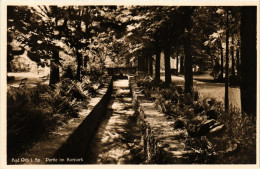 Delcampe - CPA BAD ORB Partie Im Kurpark GERMANY (865487) - Bad Orb