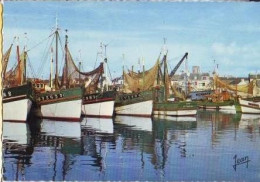 Delcampe - Le Guilvinec   G95    CPSM 10X15         Chalutiers à Quai - Guilvinec
