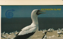 Ascension Island - AMAZING GPT PRINTED SHIFTED On Specimen - Ascension