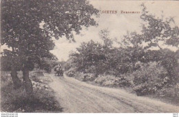 4844325Gieten, Zwanemeer.(vouw Bovenin Zie Achterkant) - Gieten