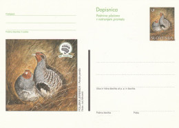 SLOVENIE. PERDRIX GRISE - Perdiz Pardilla & Colín